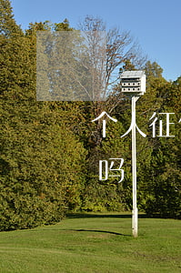 个人征信逾期6次 个人征信逾期6次能贷款吗