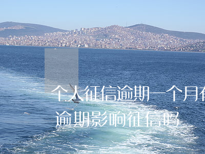 个人征信逾期一个月有影响吗（信用卡一个月逾期影响征信吗）