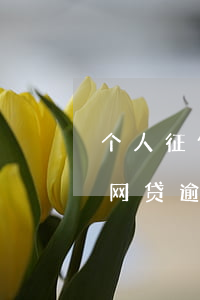 个人征信逾期超过90天还能贷款么（征信有网贷逾期90天以上）