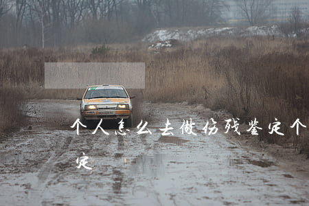 个人怎么去做伤残鉴定(个人怎么去做伤残鉴定)