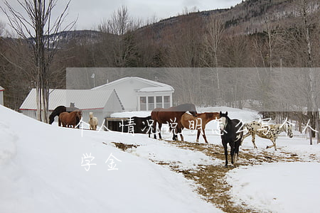 个人情况说明怎么写(个人情况说明怎么写助学金)