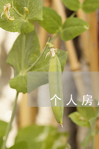 个人房屋租赁发票(个人房屋租赁发票图片)