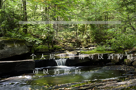 个人房贷逾期可以消掉吗(房贷逾期影响征信 可以消除吗)