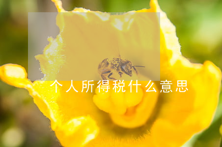 个人所得税什么意思