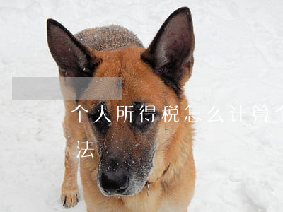 个人所得税怎么计算(个人所得税怎么计算方法)