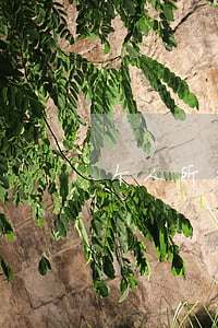 个人所得税扣除