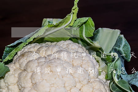 个人所得税申报逾期一天怎么处罚-个人所得税申报逾期一天怎么处罚的