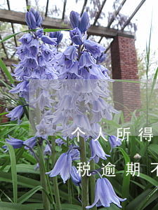 个人所得税逾期不交税款的后果-个人所得税逾期不交税款的后果是什么