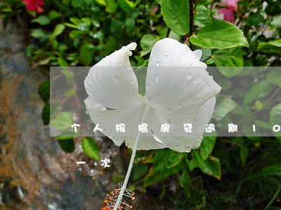 个人按揭房贷逾期10次(房贷款几天算逾期一次)