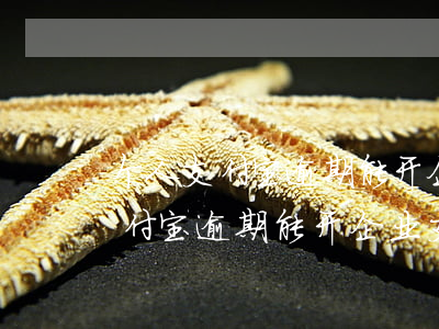 个人支付宝逾期能开企业支付宝吗-个人支付宝逾期能开企业支付宝吗安全吗