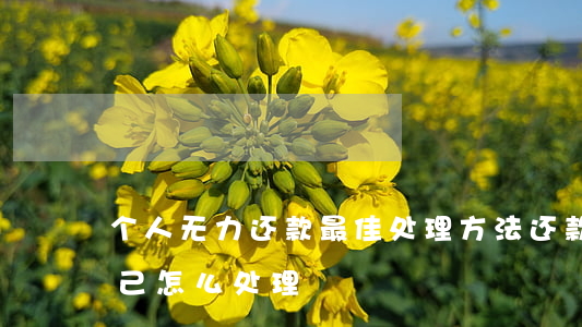 个人无力还款最佳处理方法(还款能力不足自己怎么处理)
