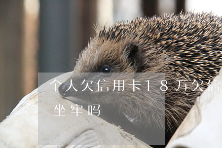 个人欠信用卡18万 欠信用卡18000会坐牢吗