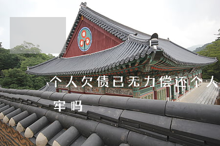 个人欠债已无力偿还(个人欠债无力偿还会坐牢吗)