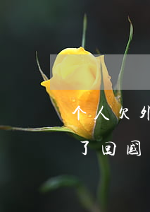 个人欠外国银行信用卡 在国外欠了信用卡跑了,回国会有事吗?