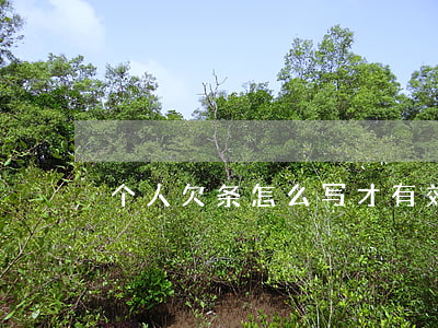 个人欠条怎么写才有效(欠条怎么写)