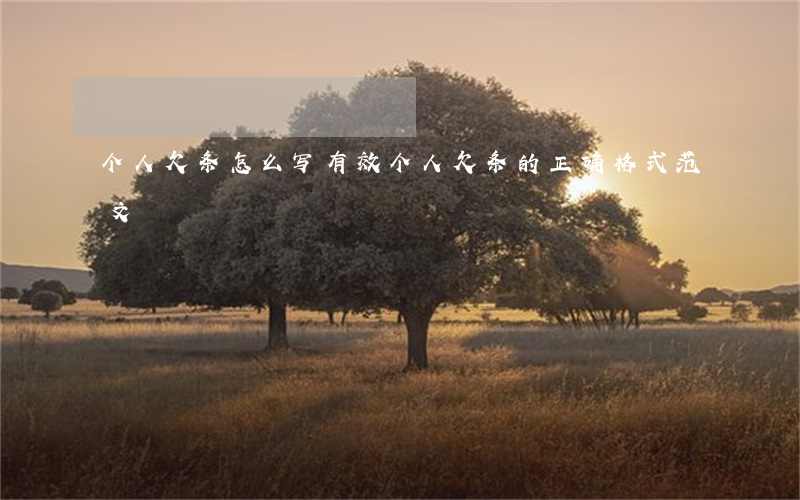 个人欠条怎么写有效(个人欠条的正确格式范文)