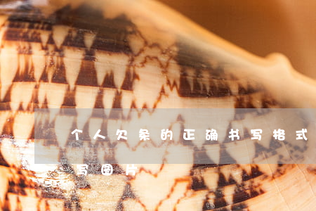 个人欠条的正确书写格式图片(个人欠条怎么写图片)