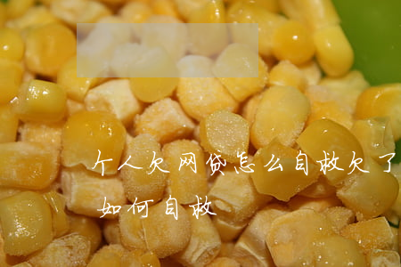 个人欠网贷怎么自救(欠了网贷不想告诉父母如何自救)