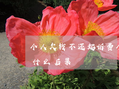 个人欠钱不还起诉费 个人欠钱不还起诉后有什么后果