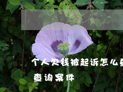 个人欠钱被起诉怎么查(个人欠钱被起诉怎么查询案件)
