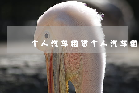 个人汽车租赁(个人汽车租赁增值税起征点)