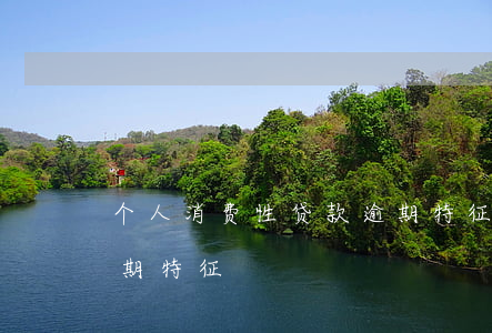 个人消费性贷款逾期特征(个人消费性贷款逾期特征)