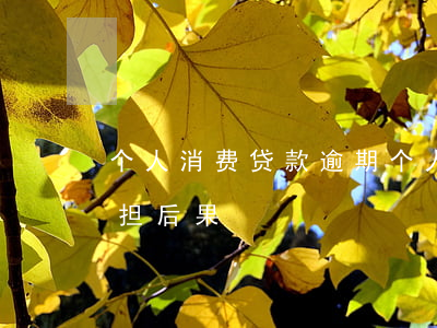 个人消费贷款逾期(个人消费贷款逾期夫妻承担后果)