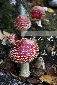 个人约谈银行协商还款(主动给银行打电话协商还款)