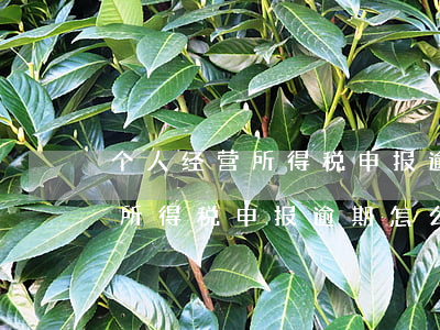 个人经营所得税申报逾期怎么办-个人经营所得税申报逾期怎么办理