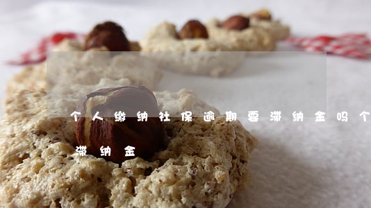 个人缴纳社保逾期要滞纳金吗(个人欠社保有滞纳金)