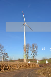 个人股票法院可以查询到吗(法院查询被执行人股票账号)