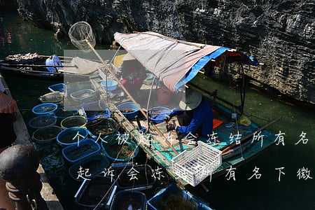 个人被起诉会冻结所有名下微信吗-个人被起诉会冻结所有名下微信吗安全吗