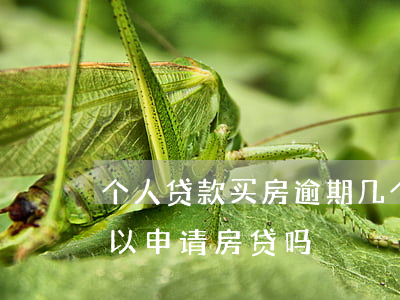 个人贷款买房逾期几个月(贷款有一次逾期可以申请房贷吗)