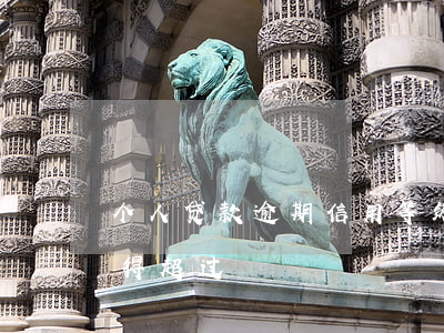 个人贷款逾期信用等级(个人信用贷款额度不得超过)