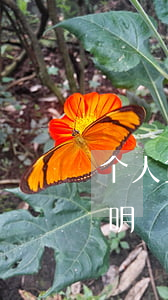 个人贷款逾期原因总结(个人贷款逾期情况说明)
