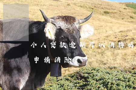 个人贷款逾期可以消掉吗(贷款产生逾期怎么申请消除)