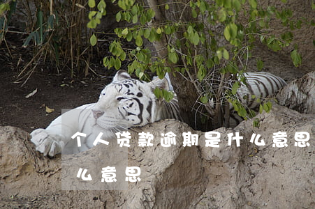 个人贷款逾期是什么意思(个人贷款逾期是什么意思)