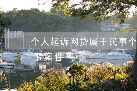 个人起诉网贷属于民事(个人起诉网贷属于民事案件吗)