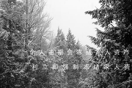 个人逾期会冻结家人资产吗-逾期银行有权利立即强制冻结家人资产么