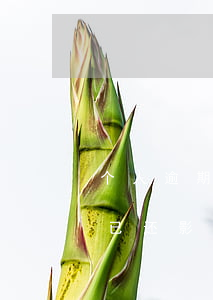 个人逾期已还影响公务员政审吗-个人逾期已还影响公务员政审吗知乎