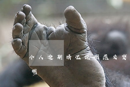 个人逾期情况说明范文(贷款逾期个人情况说明)