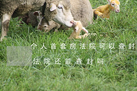 个人首套房法院可以查封吗(公安查封了房子法院还能查封吗)