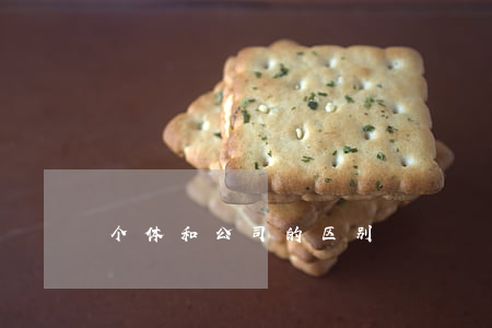 个体和公司的区别