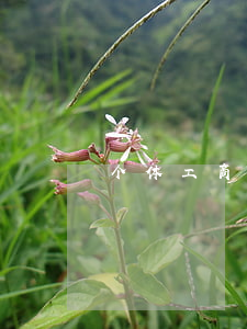 个体工商户与个人独资企业的区别