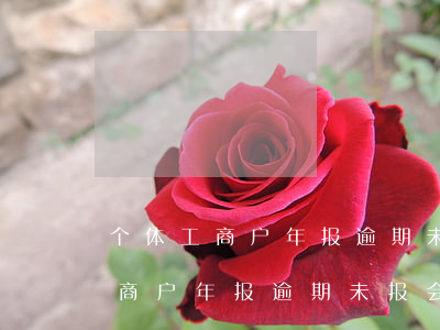 个体工商户年报逾期未报会怎么样-个体工商户年报逾期未报会怎么样处罚