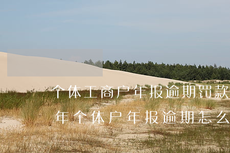 个体工商户年报逾期罚款怎么办-2020年个体户年报逾期怎么补报