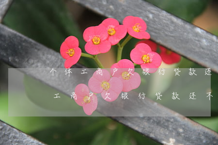 个体工商户欠银行贷款还不上怎么办-个体工商户欠银行贷款还不上怎么办