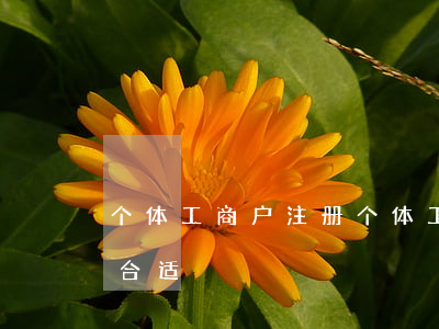 个体工商户注册(个体工商户注册资金写多少合适)