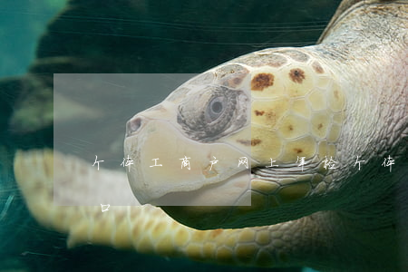 个体工商户网上年检(个体工商户网上年检入口)