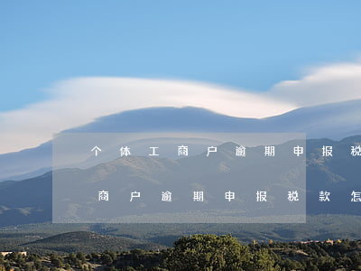 个体工商户逾期申报税务怎么处理-个体工商户逾期申报税款怎么处罚